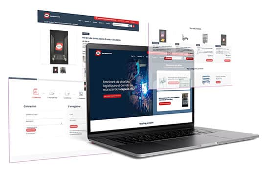 Site E-Commerce, Agence Nouveau regard