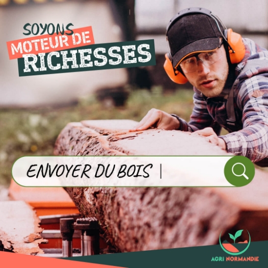 Réseau sociaux Agri Normandie publication instagram