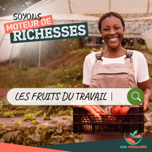 Réseau sociaux Agri Normandie publication instagram