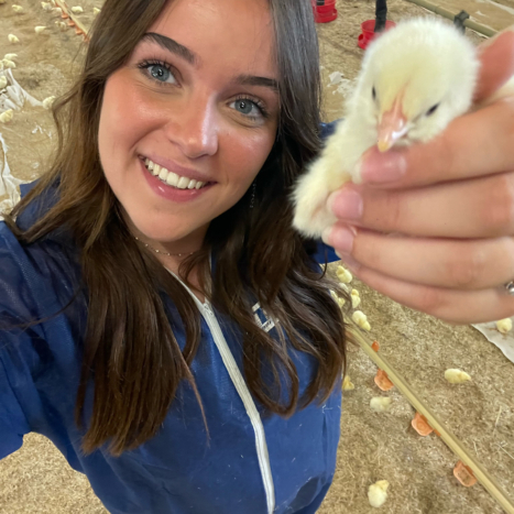 AGRI Normandie - agri normandie paula poussin