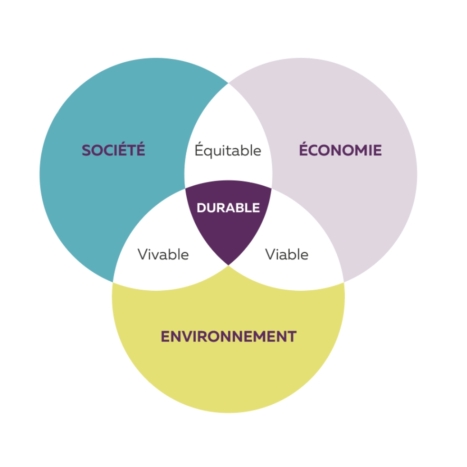 Fondation Pierre-François Jamet - fondation jamet element 3