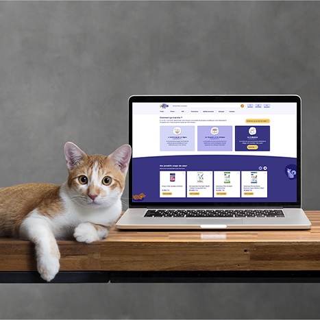 À Deux Pattes d’Ici - mockup a deux pattes dici chat.jpg