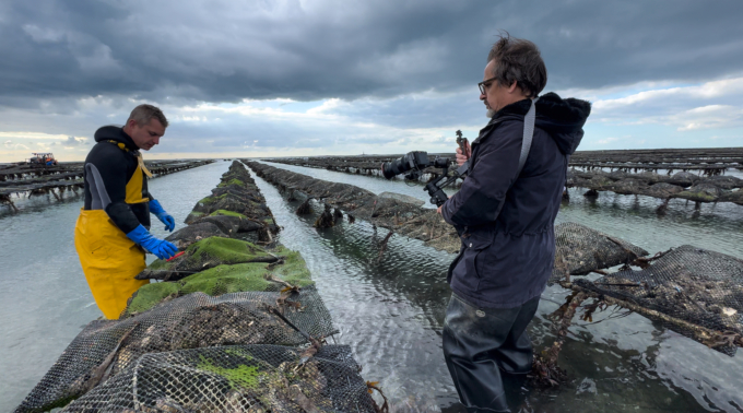 Motion design - reportage video 3