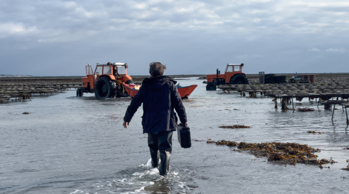 Reportage photographique - reportage video