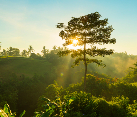 Réalisations - vignette projet recylia