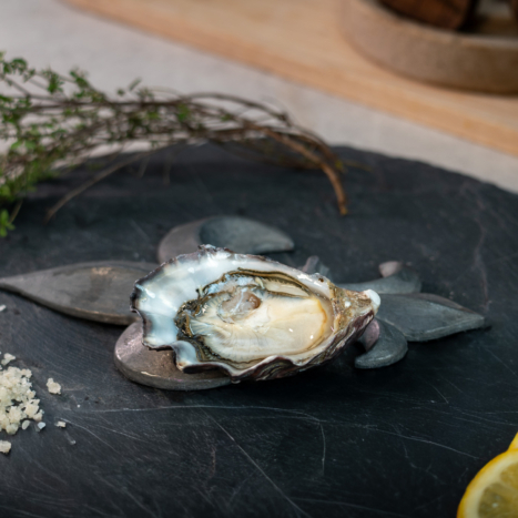 Domaine Navarre - A7404081