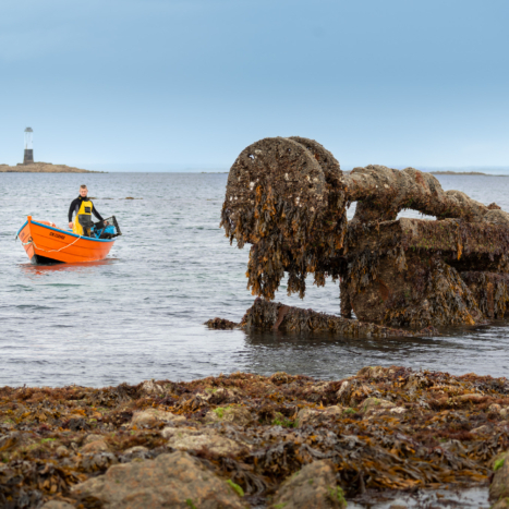 Domaine Navarre - A7404175