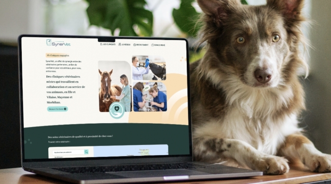 Synervet - Synervet ordi