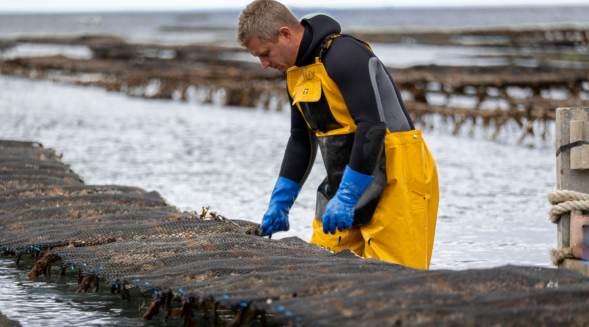 Domaine Navarre - image 16