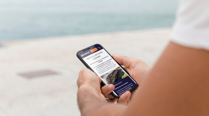 Domaine Navarre - mobile