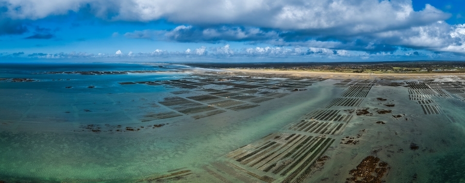 Domaine Navarre - panorama domaine navarre